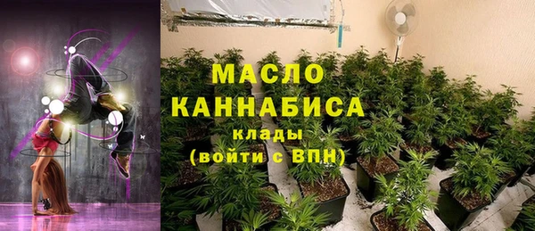сатива Каменногорск