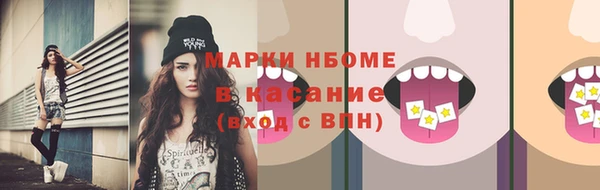 сатива Каменногорск