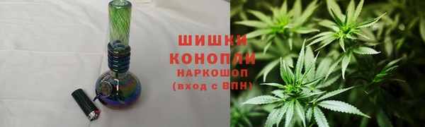 сатива Каменногорск