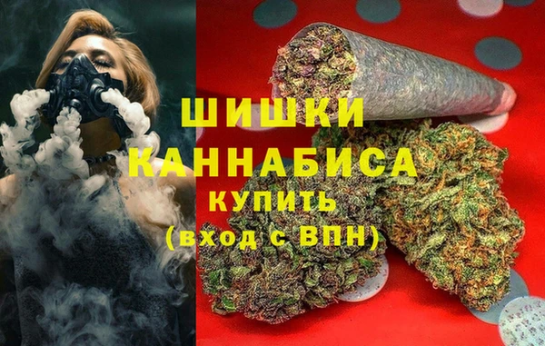 сатива Каменногорск