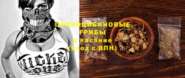 сатива Каменногорск