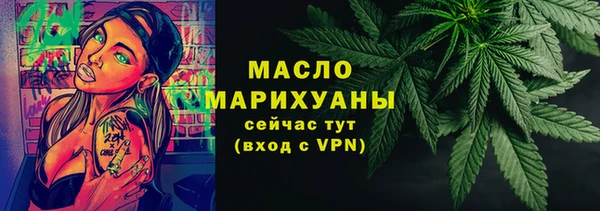 сатива Каменногорск