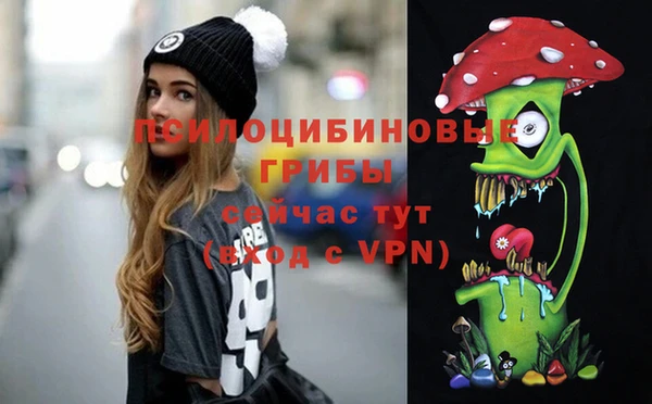 сатива Каменногорск