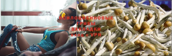 каннабис Каменка