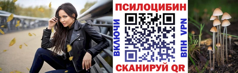 Купить где  Подольск  Галлюциногенные грибы Psilocybine cubensis 